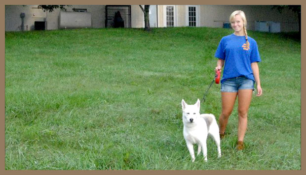 Circle Kennels provides dog and cat boarding, grooming and doggie daycare to pet owners in Columbia, Ellicott City, Mt Airy and all of Howard County, MD
