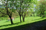 image14