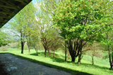 image15