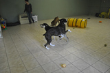 image21