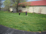 image7